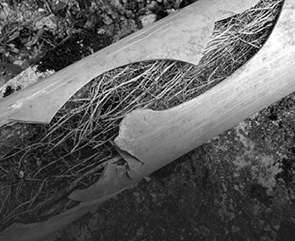 Blocked Drains Box Hill